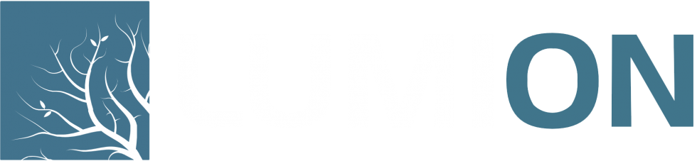 logo for 3ds lumion