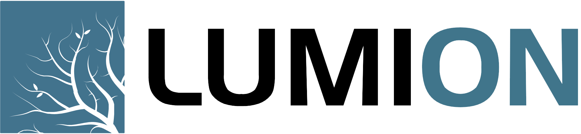 lumion skin logo