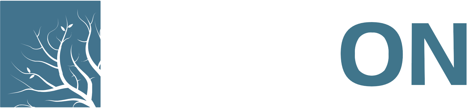 lumion 10 logo png