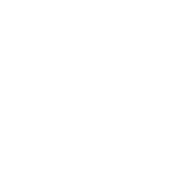 PMP logo blanco