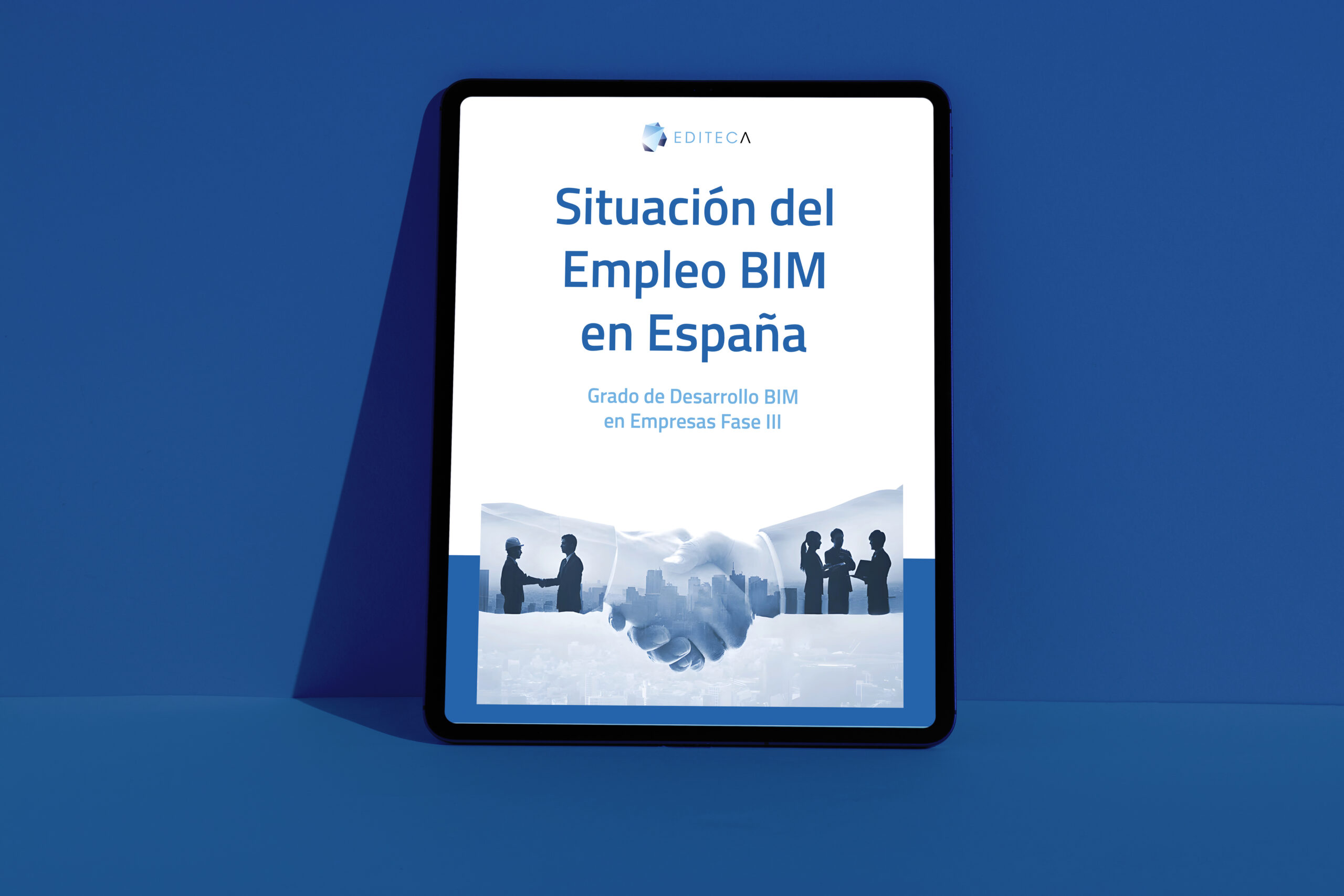 Situación del empleo BIM en España 2024