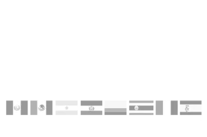 LCI logo blanco scaled e1751629265862