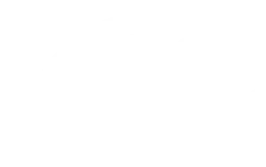 agile alliance logo blanco scaled e1751629178996