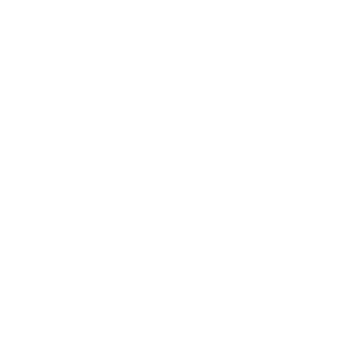 icono5