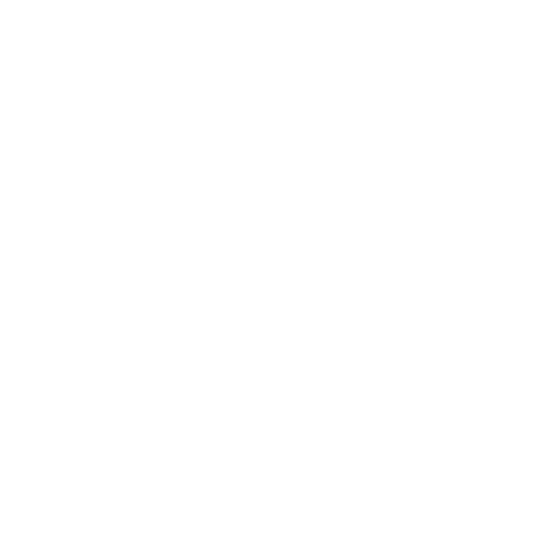 icono6