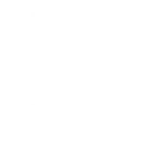 logo lumion