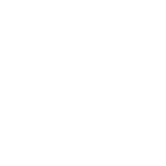 logo vray