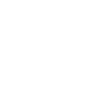 gif IA4 1