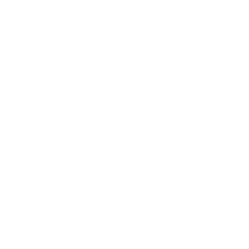 icono datos 1