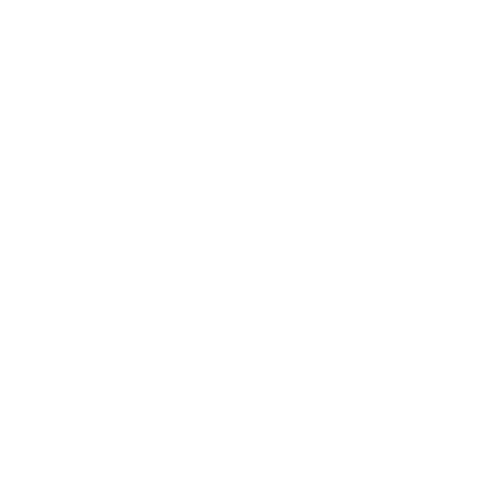 icono eco