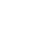 logo naviswork