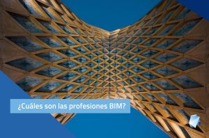 profesiones BIM