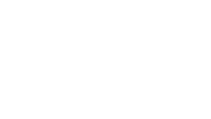 Copilot Emblem white