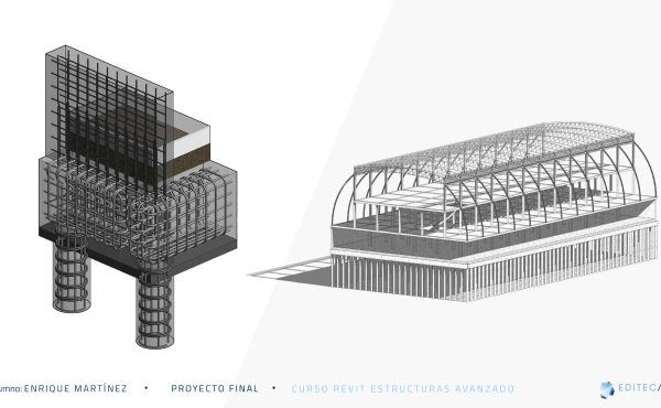 Proyecto-REA-Enrique-Martinez